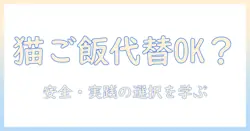 猫のご飯はキャットフード以外でも大丈夫?安全で実践的な選択肢と注意点