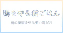 キャットフードで選ぶ消化器サポートのおすすめ:腸の健康を守るためのポイントと商品比較