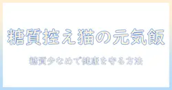キャットフードの糖質少ない選び方と猫の健康を守るポイント