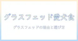 ziwiのエアドライドッグフード徹底解説:グラス フェッド ビーフを使う理由と選び方