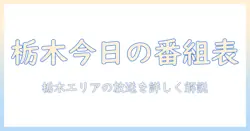 テレビの今日の番組表を栃木で確認—栃木エリアの今日放送ラインアップを詳しく解説