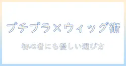 ウィッグとプチプラのおすすめを徹底比較！初心者にも優しい選び方ガイド