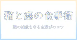 キャットフードと猫の癌の関係を知る：猫の健康を守る食事のポイント