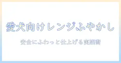 ドッグフードのふやかし方を電子レンジで解説—安全にふわっと仕上げるコツ