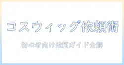 コスプレ ウィッグ セット 依頼の完全ガイド|初心者でも分かるポイント