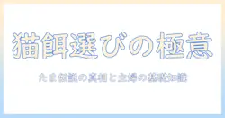 キャットフードの選び方とたまの伝説の真相を解く:主婦が知っておくべき基礎ガイド