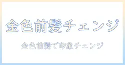 前髪ウィッグで印象チェンジ！ゴールドカラーの選び方と使い方ガイド