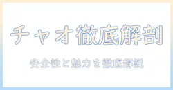 いなばのキャットフード「チャオ」を徹底解説｜キャットフードの選び方と魅力を紹介