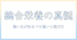 キャットフードの選び方:一般食と総合栄養食の違いと賢い飼い方