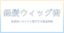 銀髪を演出するウィッグ選びと普段使いのコツ