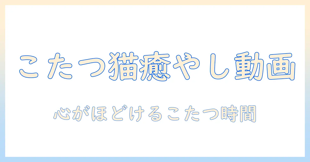 猫とこたつの癒やし動画を楽しむ方法：youtubeで見るおすすめ動画と撮影アイデア