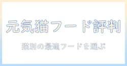 猫の元気を保つキャットフードの評判を徹底比較！あなたの猫にぴったりの選び方ガイド
