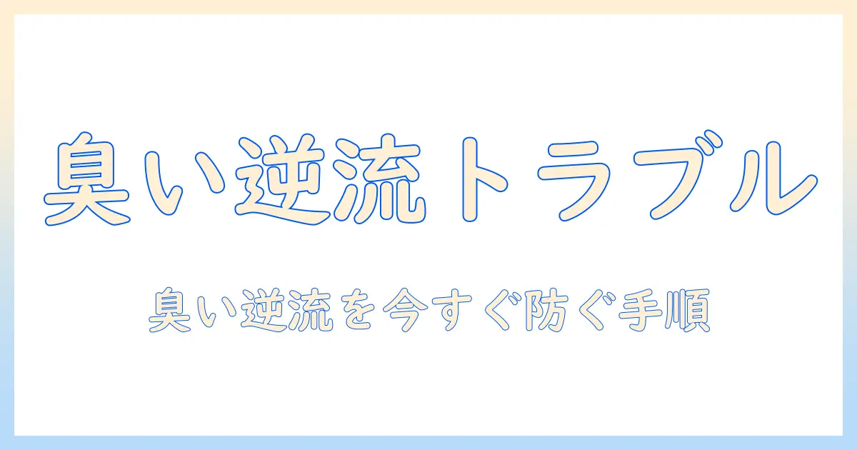 洗濯機と排水口のトラップがない賃貸物件で起こるトラブルと対策