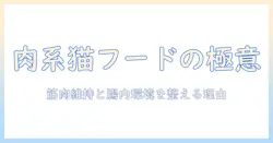 キャットフードの肉系を選ぶときのポイント｜肉系成分が猫に与える効果と注意点