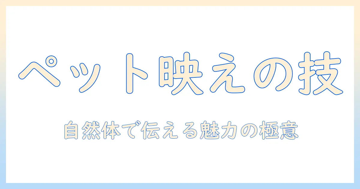 マッチングアプリ ペットの写真を使って魅力を伝えるプロフィール作成術