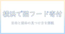キャットフードの寄付を横浜市で始めるには？横浜市内の受け入れ団体と具体的な手順を解説