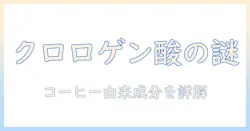 コーヒーと由来のクロロゲン酸の基礎を解説:どこから来る成分なのかを詳しく知る