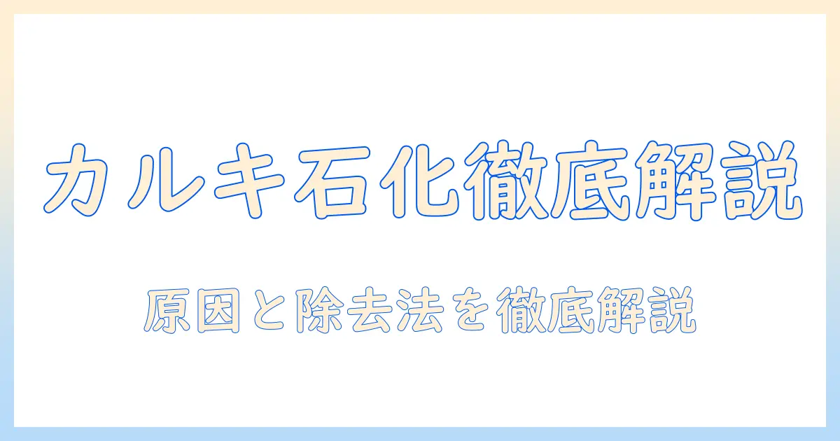 加湿器のカルキが石化する原因と取り方を徹底解説
