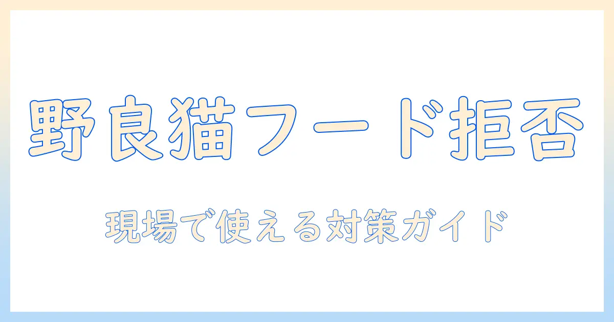 野良猫がキャットフードを食べない理由と対策:野良猫対応の実践ガイド