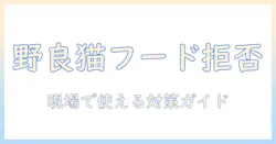 野良猫がキャットフードを食べない理由と対策:野良猫対応の実践ガイド