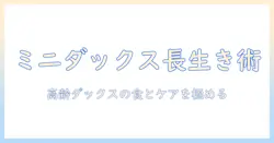 ミニチュア ダックス 高齢 ドッグフードの選び方とケア