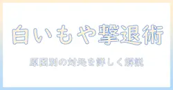 テレビの画面に現れる白いもやの直し方とは？原因と対処法を徹底解説