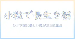 キャットフード選びのコツ：シニア猫に適した小粒タイプのおすすめと注意点