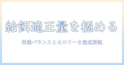 キャットフードの適正量を徹底解説：愛猫の健康を守る給餌の基本