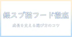 キャットフード選びの新常識|銀のスプーンの子猫向けフードを徹底比較してみた