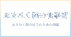 キャットフードと懐石の境界線を読み解く:血を吐く猫の健康ケアと食事の注意点