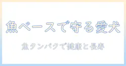 ドッグフードを魚ベースで選ぶ理由と選び方ガイド｜愛犬の健康を守るポイント