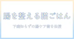 キャットフードと下痢対策の基本ガイド：愛猫の腸を守る食事選びと注意点