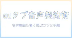 auのタブレットで音声契約を検討する際のポイントと契約手順