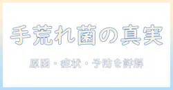 手荒れと黄色ブドウ球菌の関係を徹底解説｜原因・症状・治療と予防のポイント