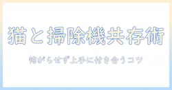 猫が掃除機を嫌いな理由と対策|嫌いな猫を怖がらせず掃除機と付き合う方法
