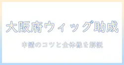 大阪府のウィッグ助成金を活用するには？対象条件と申請方法を徹底解説