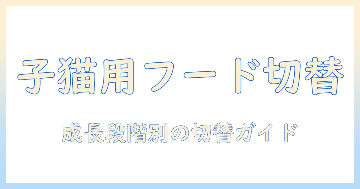 キャットフードは子猫用をいつまで与えるべき？成長段階別の目安と切替タイミング