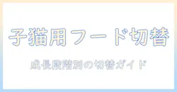 キャットフードは子猫用をいつまで与えるべき?成長段階別の目安と切替タイミング