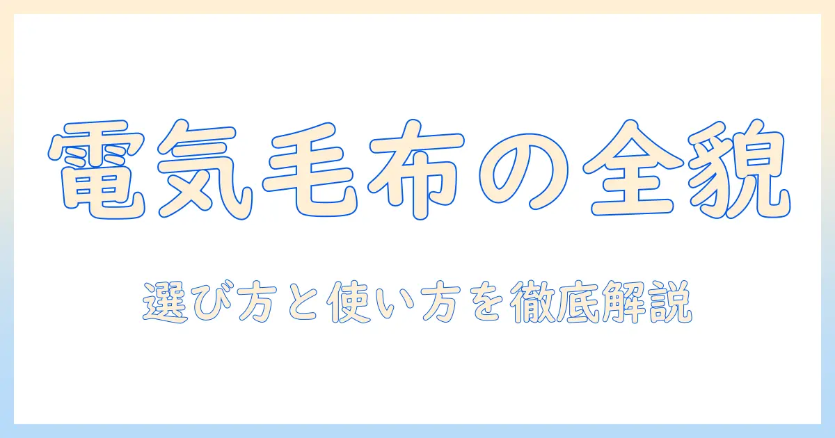 電気毛布の全体像を徹底解説：選び方・使い方・安全性と節電ポイント