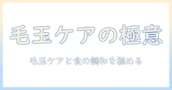 キャットフード選びの極意:懐石の精神で毛と玉のケアを徹底する猫の健康ガイド