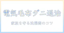 電気毛布のダニ退治と洗濯のコツを徹底解説