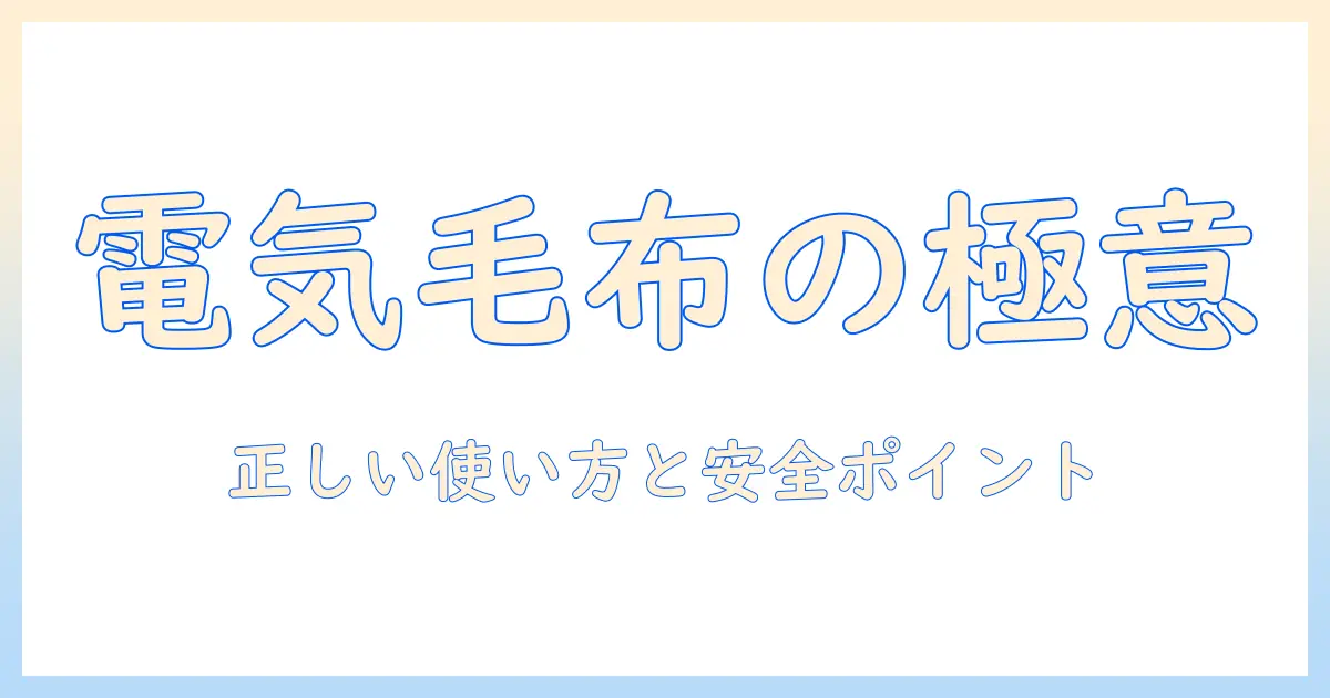 warmduweの電気毛布 取扱説明書ガイド: 正しい使い方と安全ポイントを徹底解説