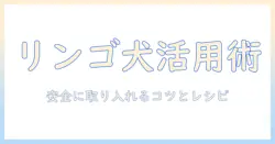 犬の健康とりんごの活用術:ドッグフードとの適切な組み合わせと注意点