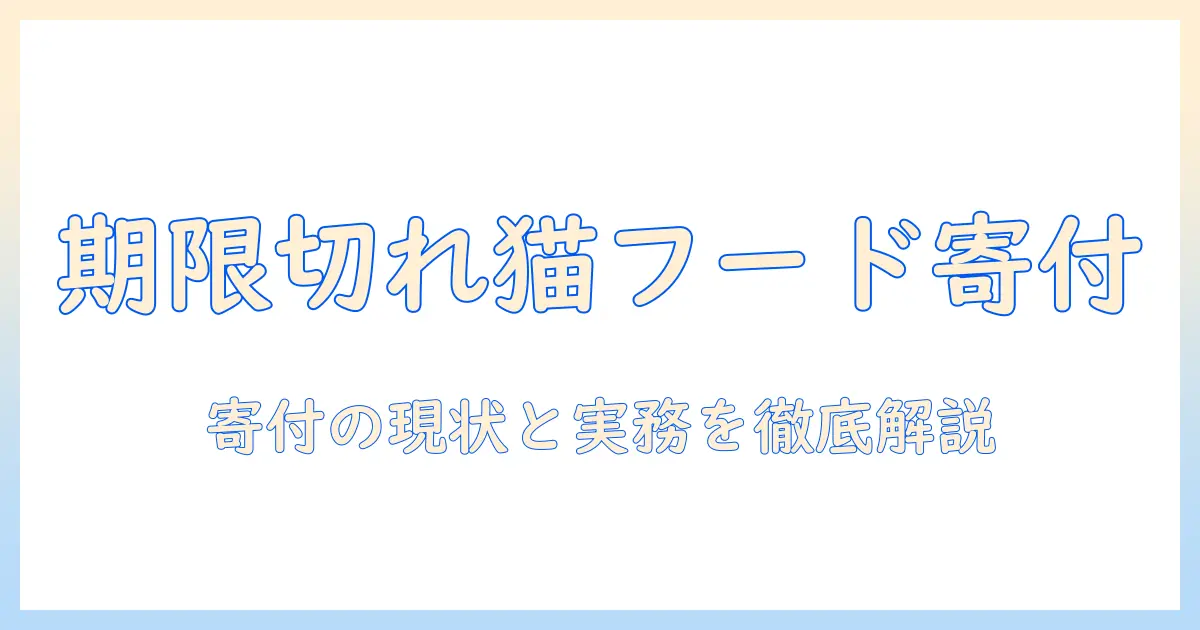 キャットフードの賞味期限切れを寄付に活用する方法と注意点