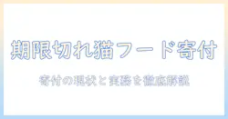 キャットフードの賞味期限切れを寄付に活用する方法と注意点