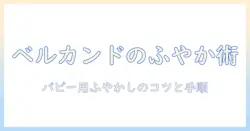 ベルカンドのドッグフードをパピーにふやかし方を解説