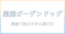 薬と膳を取り入れたガーデン風ドッグフードの選び方