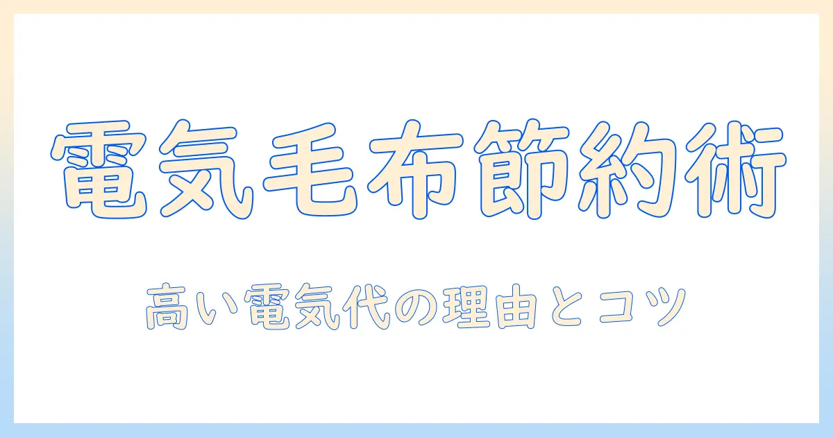 電気毛布の電気代が高い理由と節約術|高い電気代を抑えるコツ