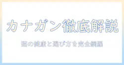 カナガンのキャットフードの種類を徹底解説|猫の健康とライフスタイルに合わせた選び方とおすすめラインナップ