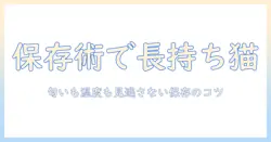 キャットフードの保存に最適な密閉容器とおすすめアイテム10選